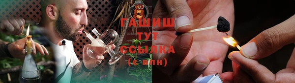 МДПВ Протвино