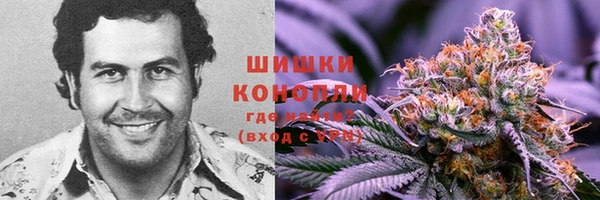 МДПВ Протвино
