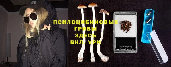 амф Приозерск