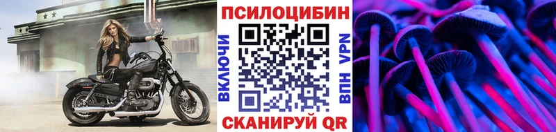 Псилоцибиновые грибы Cubensis  Чегем 